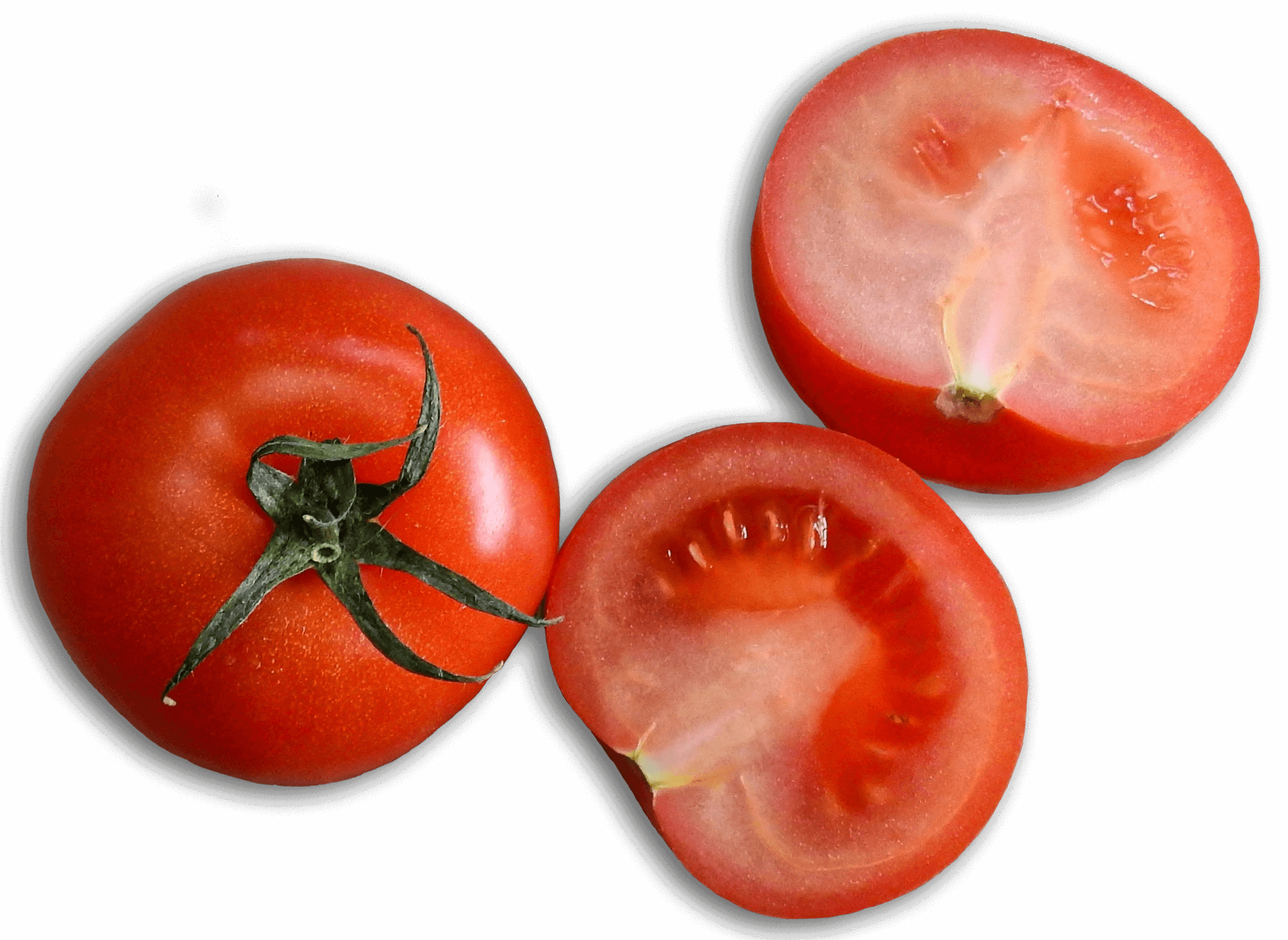 tomate